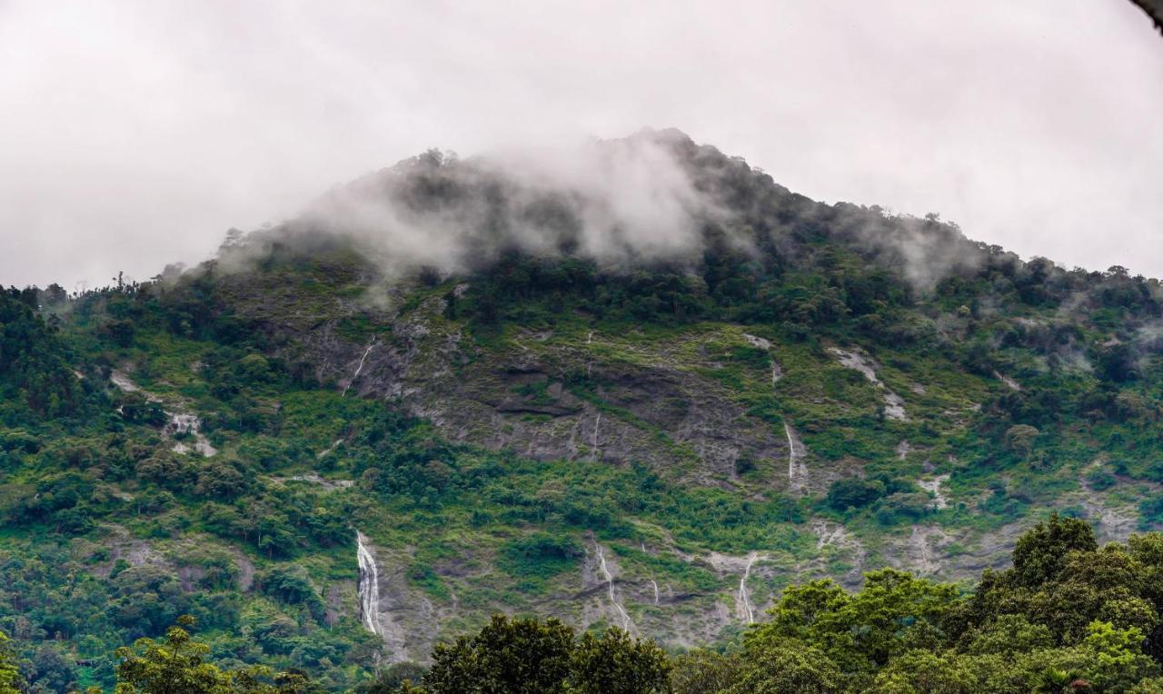 Treebo Trend Misty Garden Resorts With Mountain View Munnar Exteriér fotografie