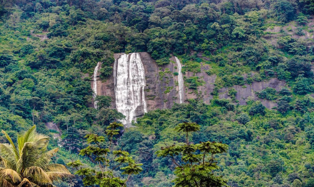 Treebo Trend Misty Garden Resorts With Mountain View Munnar Exteriér fotografie